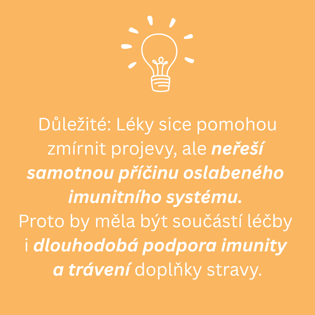 Sekundární font